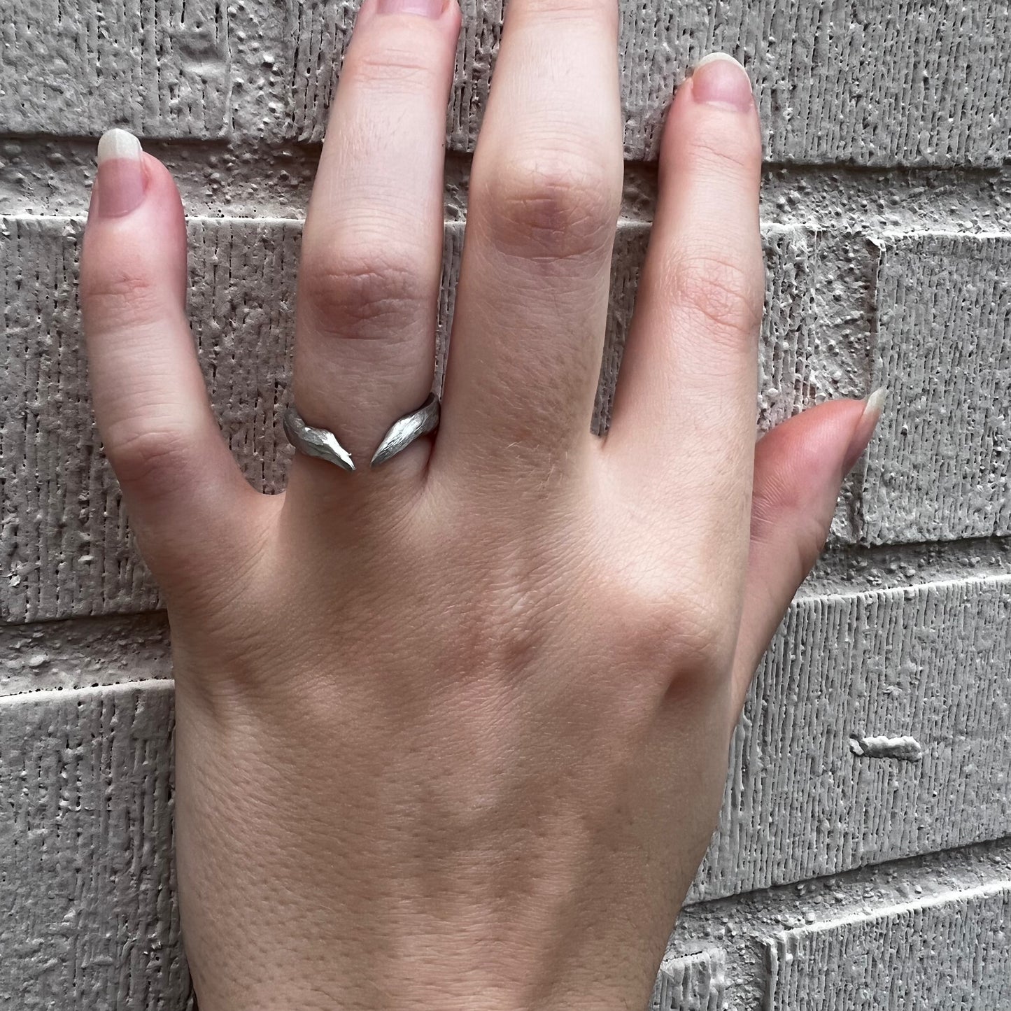 The Horn Ring