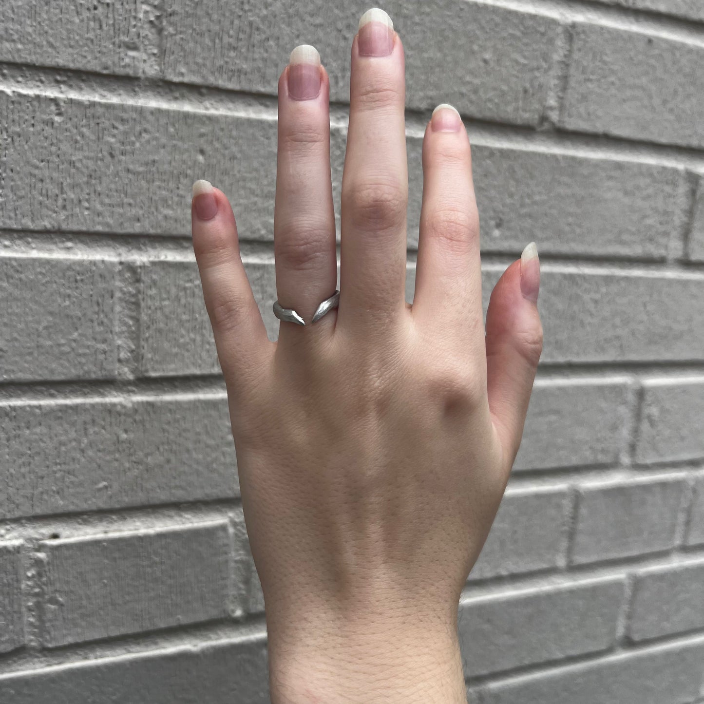 The Horn Ring
