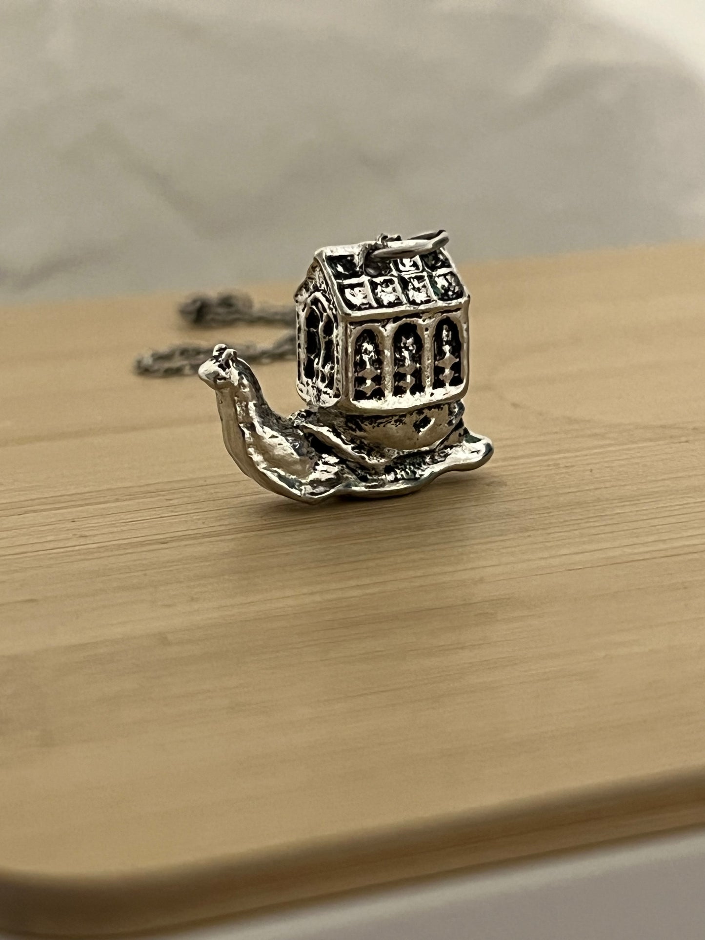 a snail and her greenhouse